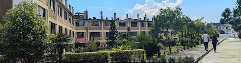 NAMI College