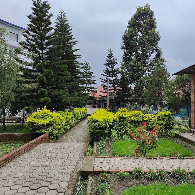 College Banner